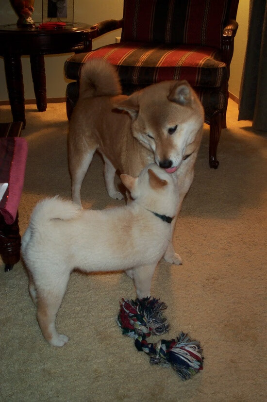 九游电竞平台官网-【心态训练】比赛中保持专注力和稳定性的心理技巧，比赛如何调整心态