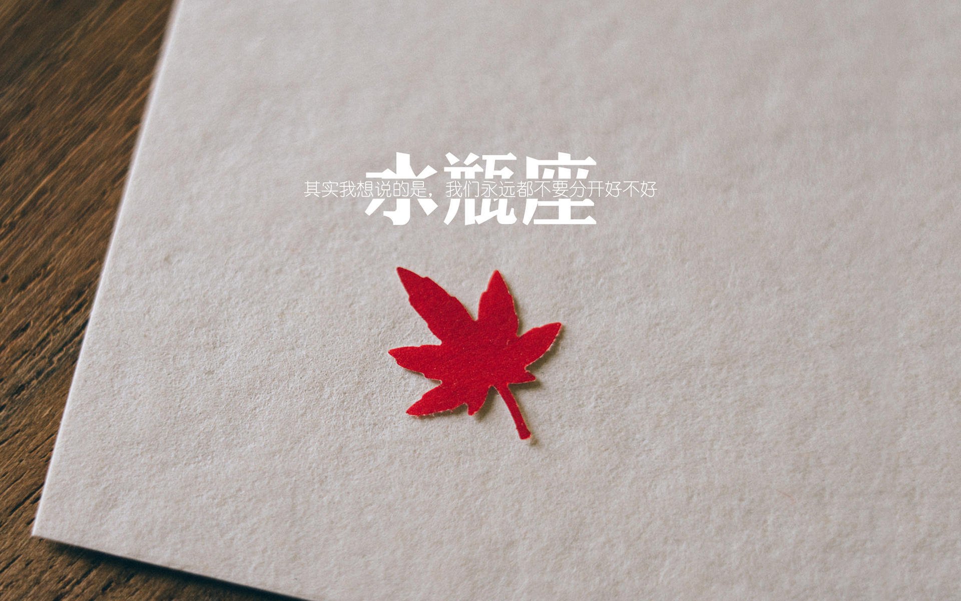 _深夜网球秀：光影交错中的精彩对决_，有没有夜光网球
