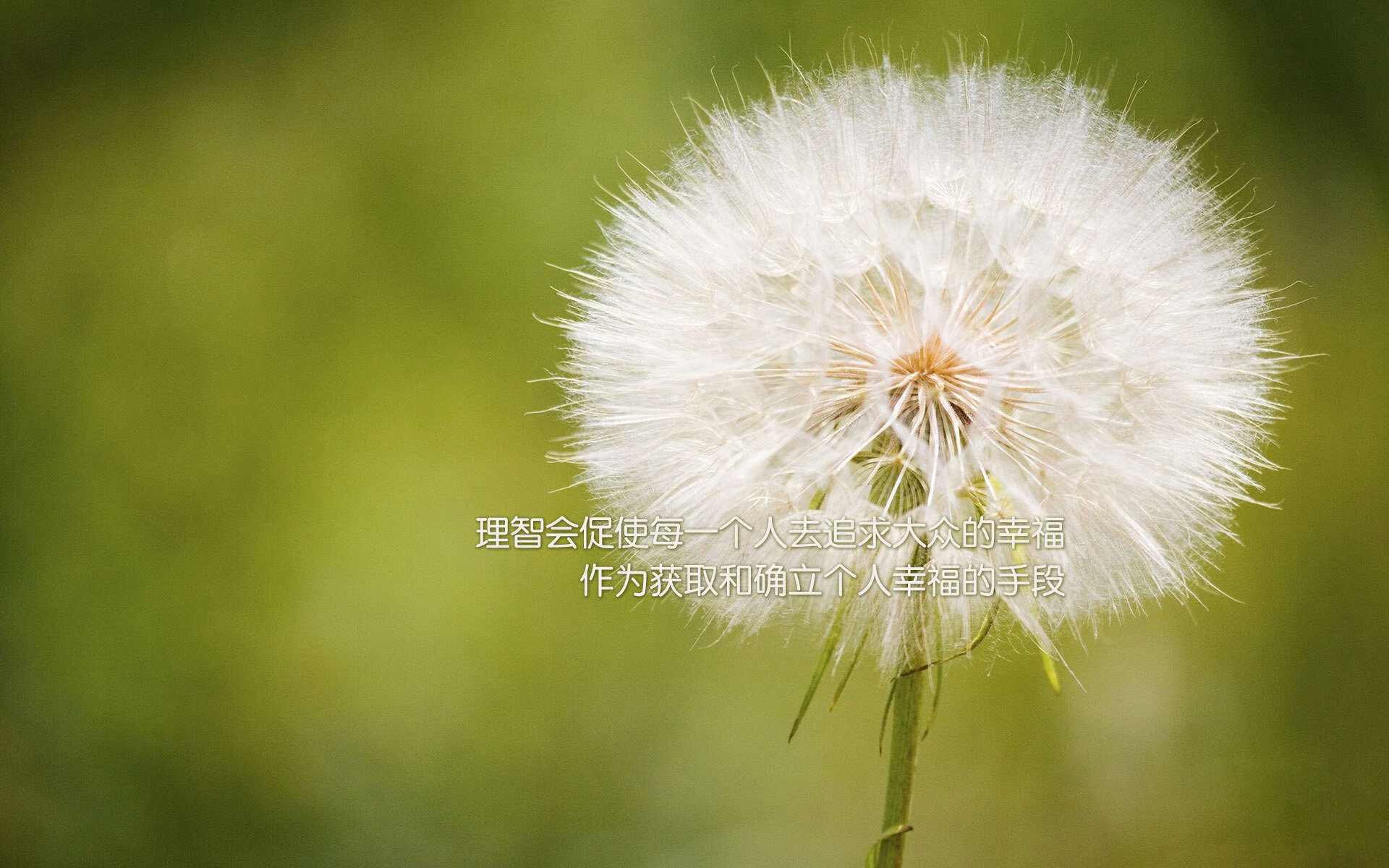 促进足球运动普及的公益广告深入人心，足球公益活动策划方案