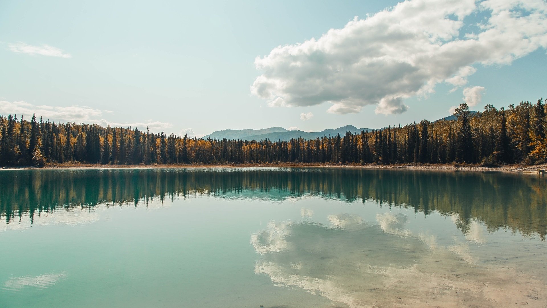 创新赛事模式，颠覆传统电竞体验！，电竞创联赛