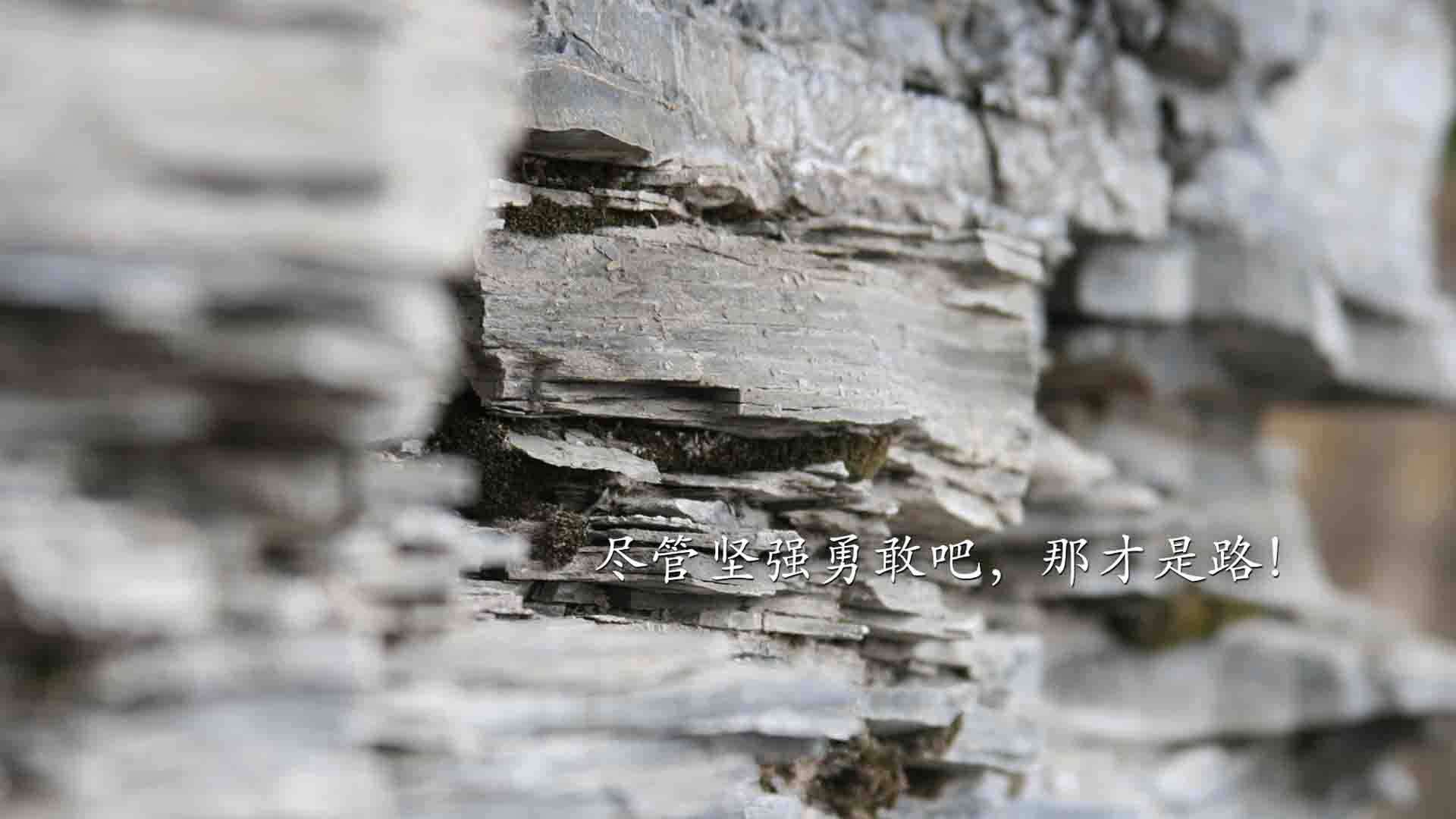 千里之外的对抗:国际赛事中NBA球员展现魅力,在nba的国际球员