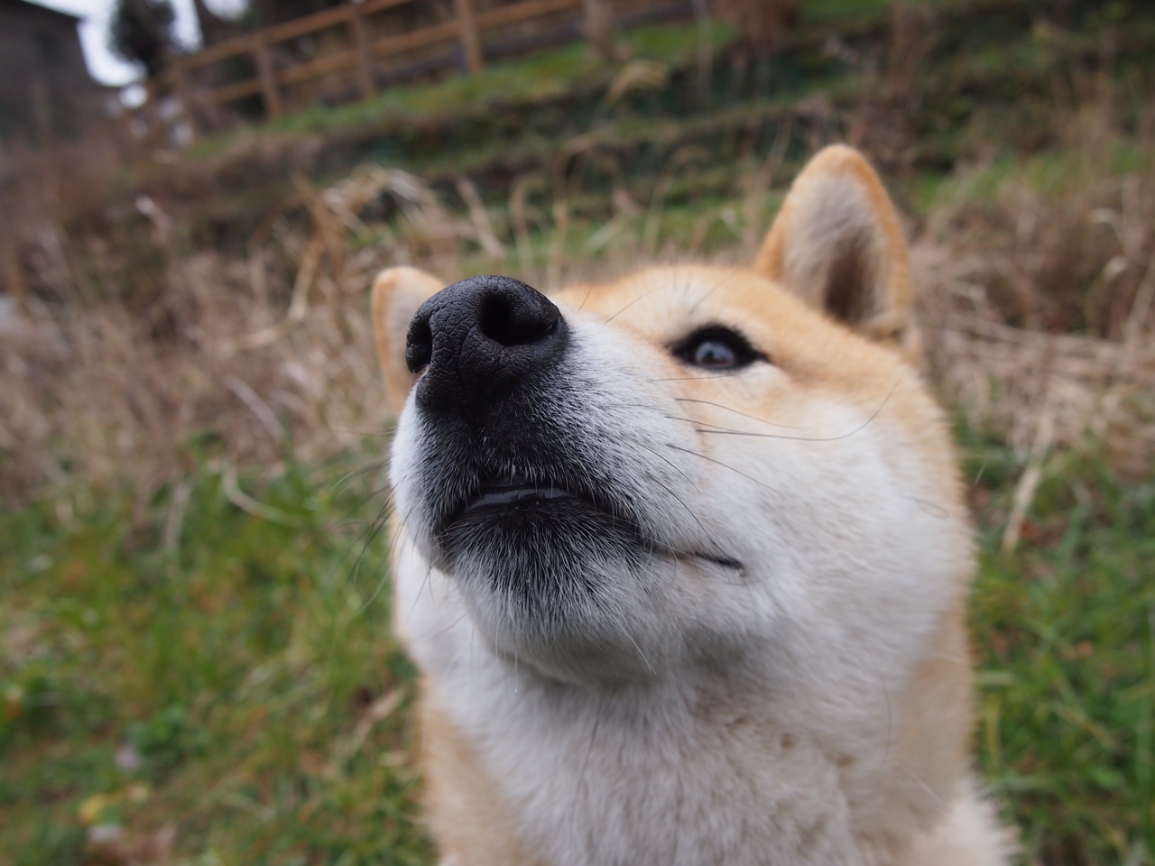 各队的“秘密武器”曝光：复盘冠军又一秘诀，秘密武器特质