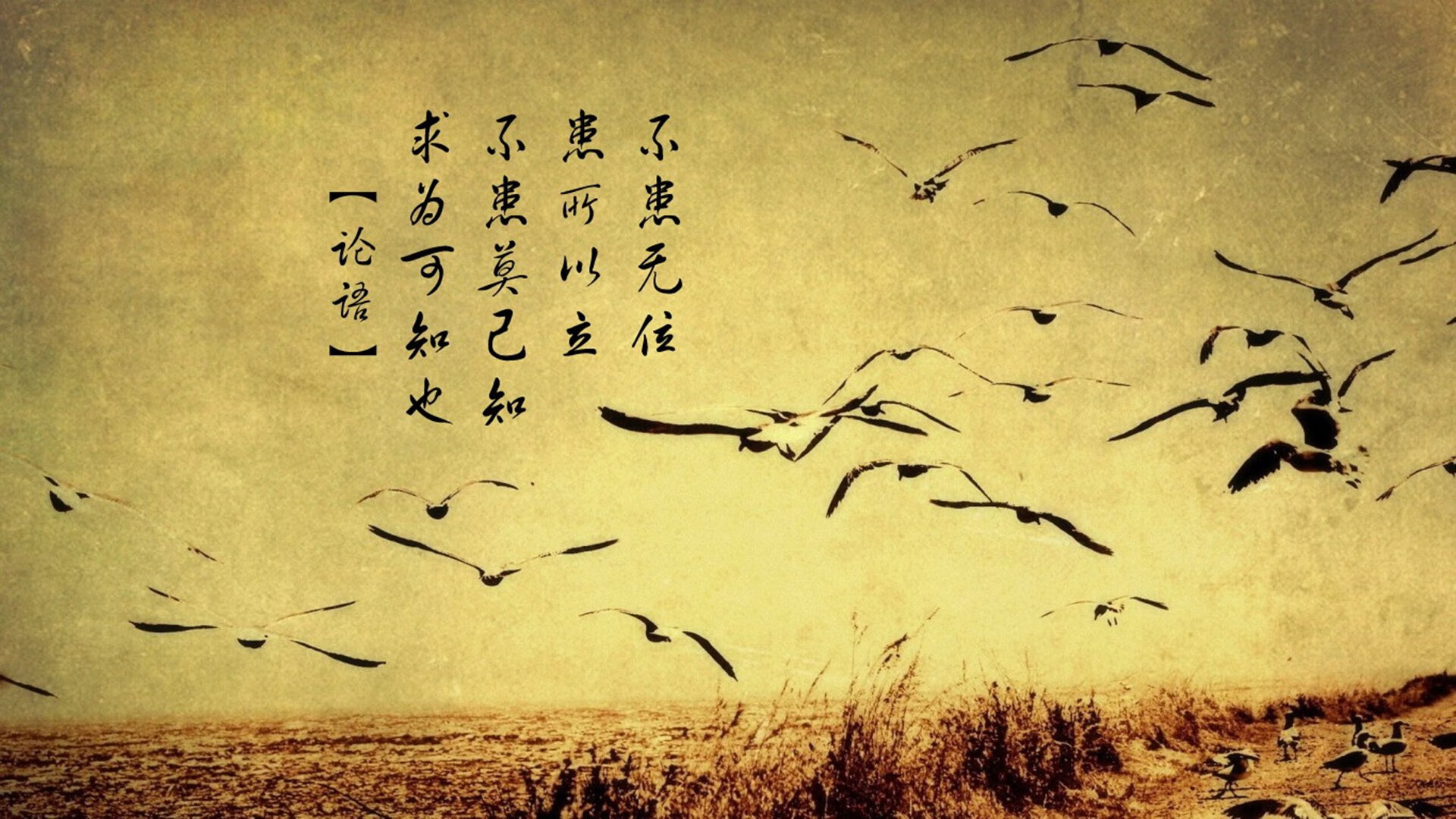 JIUYOU GAMING-国足视频分析团队揭示战术变化趋势，国足视频集锦高清